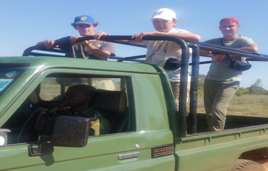 Volunteer in Big Mammals Conservation, Tsavo Ecosystem, Kenya – Starting 2 Wks