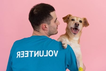 Choose the best volunteerin