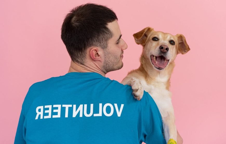 Volunteer as a Vet in Nairobi – Starting 1 Mnth