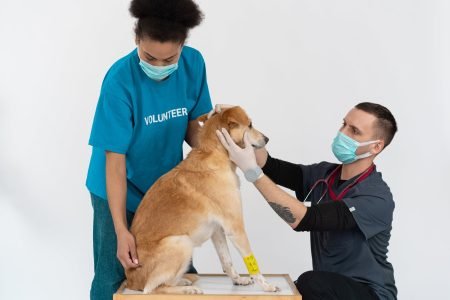 Choose the best volunteerin