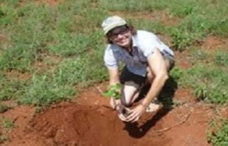 Volunteer in Big Mammals Conservation, Amboseli Ecosystem, Kenya – Starting 2 Wks