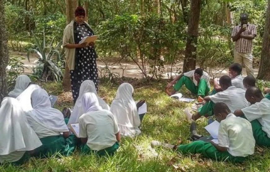 Volunteer in Environment Conservation, Likoni,South Coast – Starting 1 Month