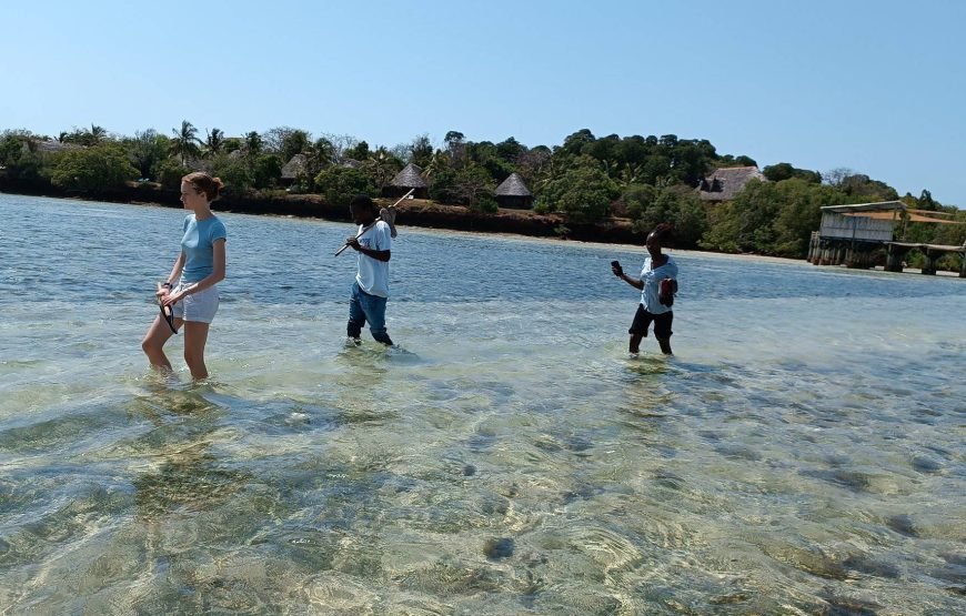 Volunteering in Turtle Conservation, Diani – Starting 1 Month