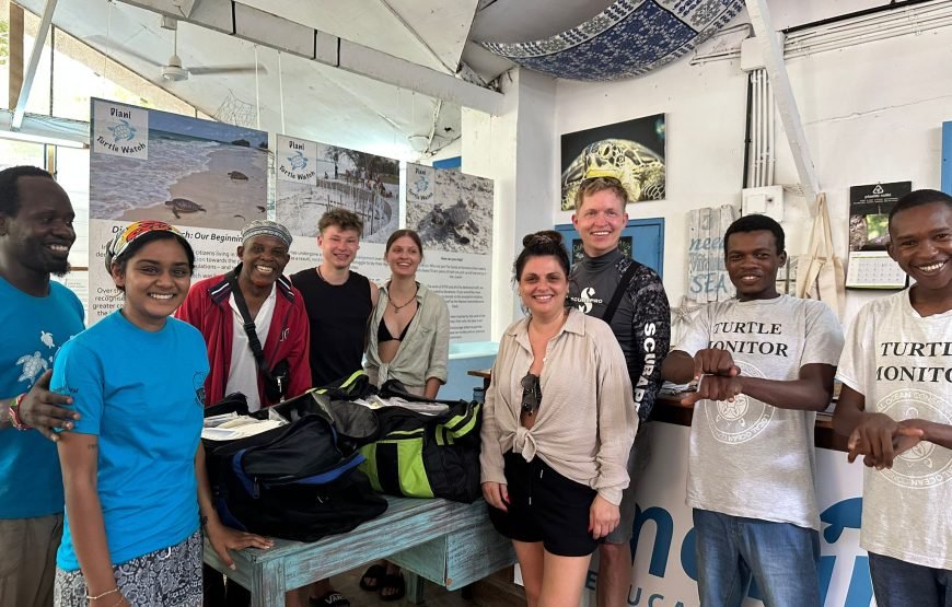 Volunteering in Turtle Conservation, Diani – Starting 1 Month